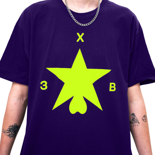 Футболка ХЗВ "Зірка з яйцями" Фіолетова зблизька