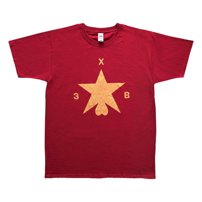 Футболка ХЗВ "Зірка з яйцями" Багряна з золотом