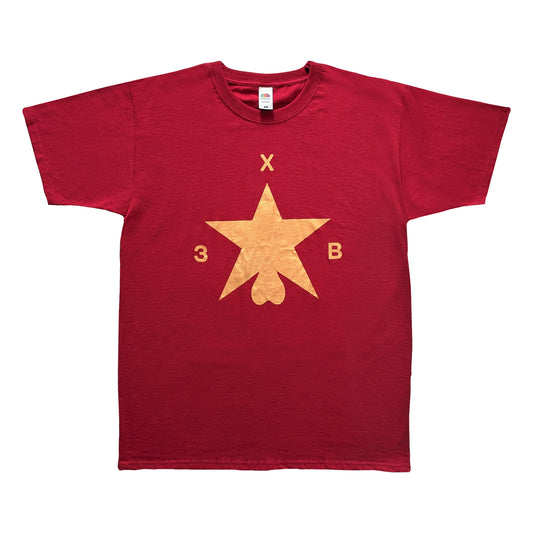 Футболка ХЗВ "Зірка з яйцями" Багряна з золотом